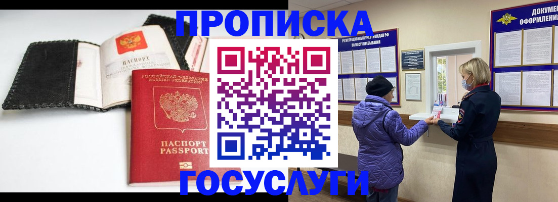 прописка штамп в Павловске